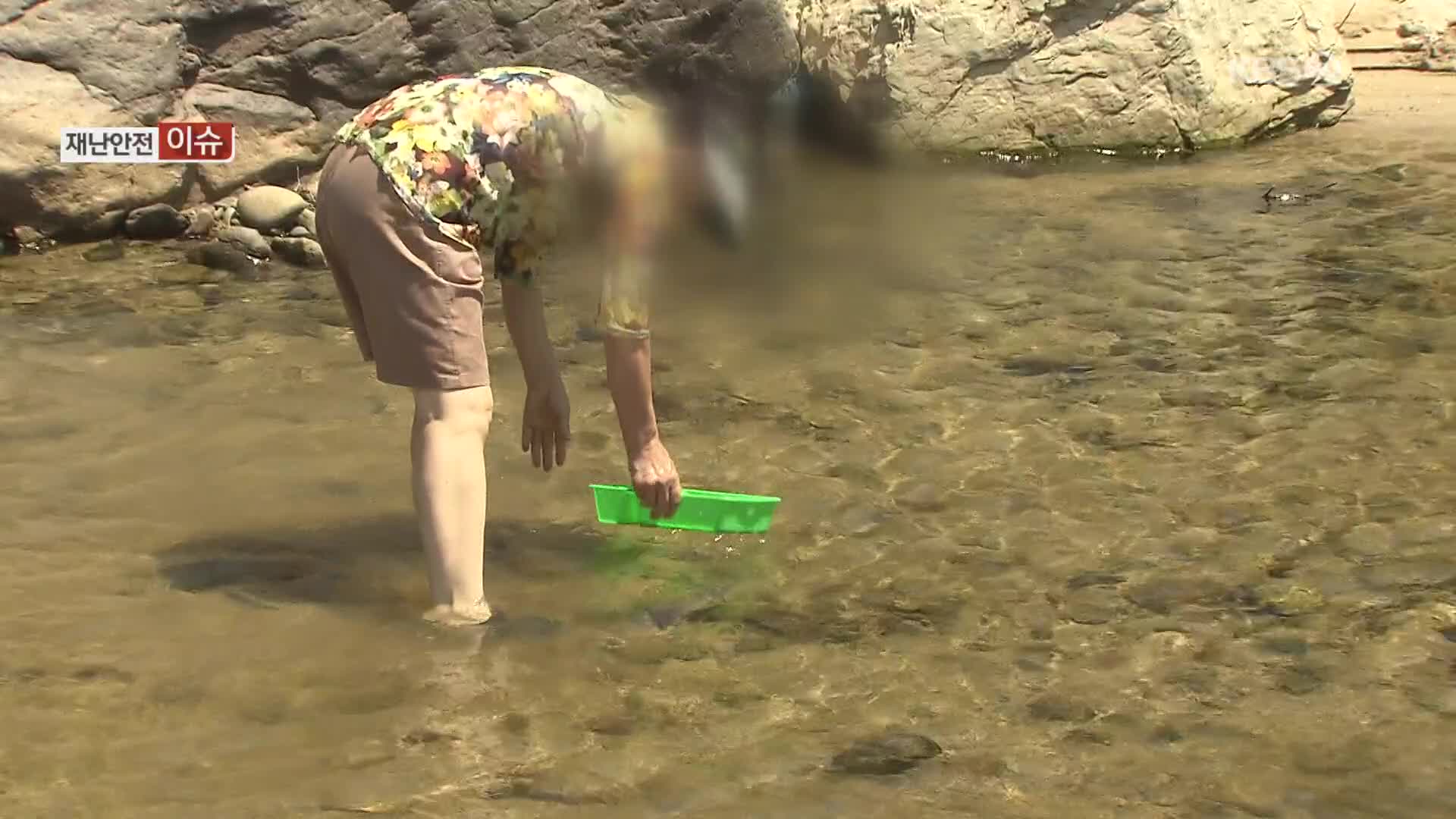 피서철 ‘손맛 쏠쏠’ 다슬기 잡다가…사고 주의