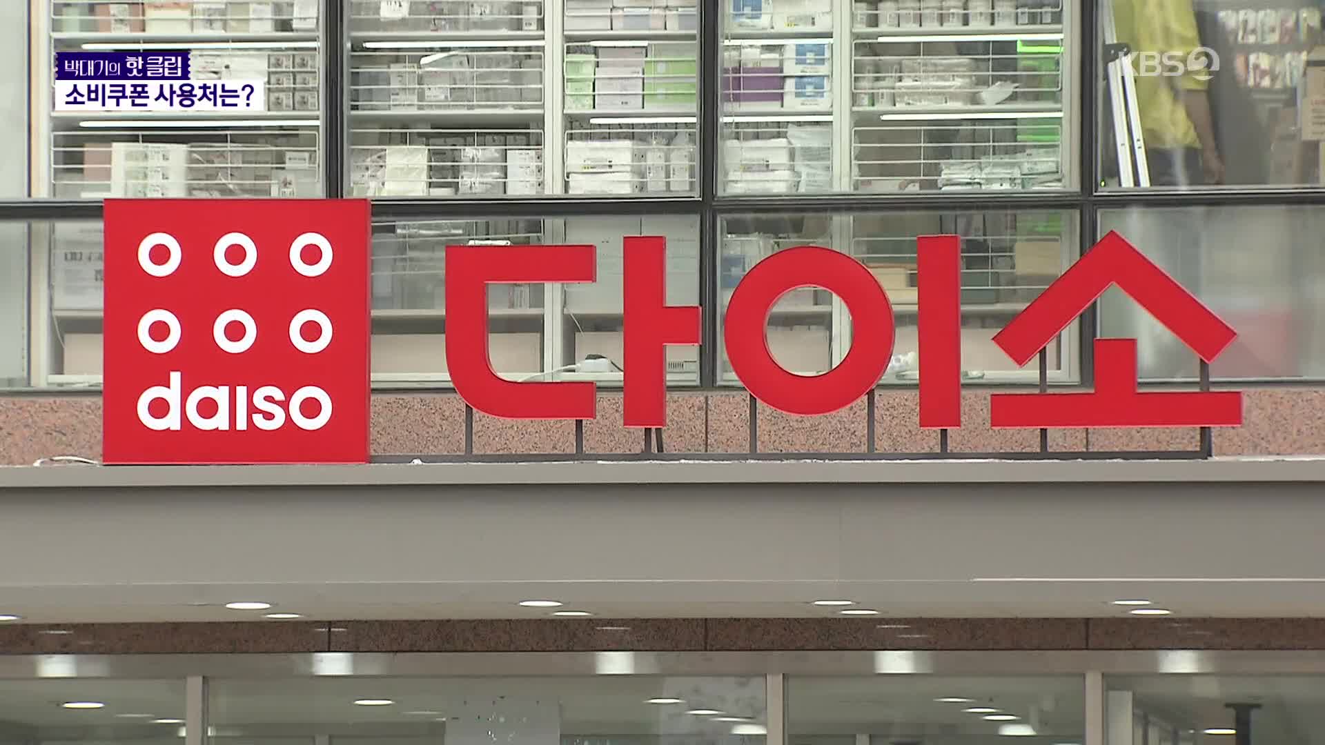 다이소 돼? 안 돼? 소비쿠폰 사용처 정리해 드려요 [박대기의 핫클립]