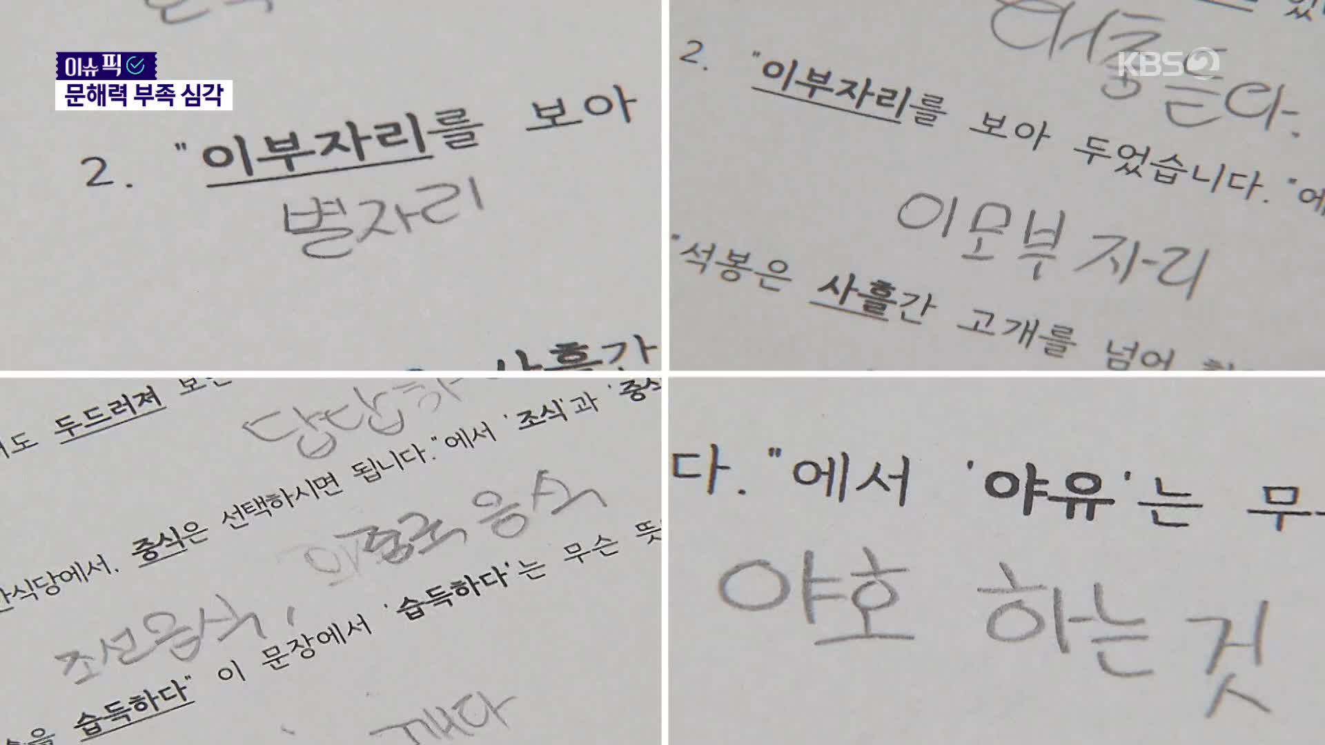 ‘개도 안 건드린다’ 해석 논란에 국립국어원까지 등판