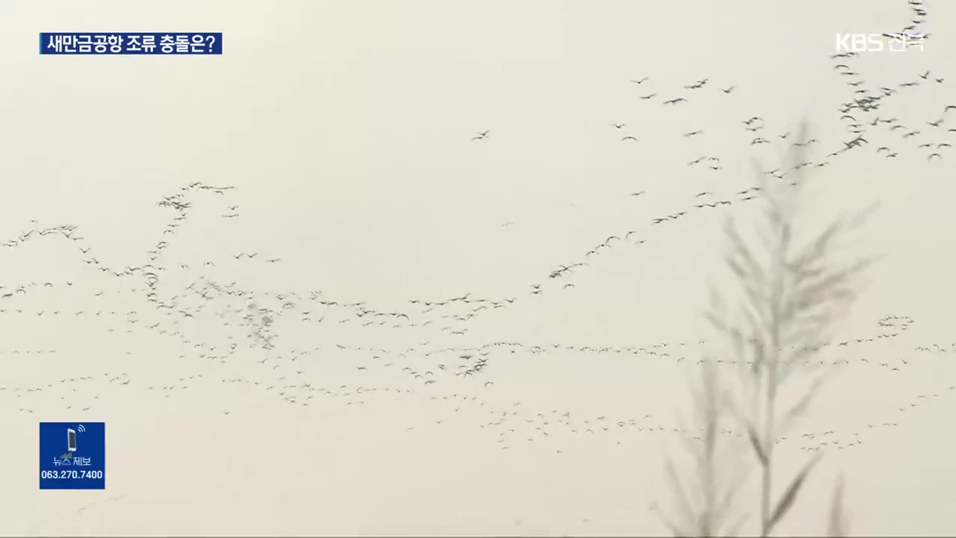 새만금공항 ‘조류 충돌 위험’ 공방…안전 대책은?