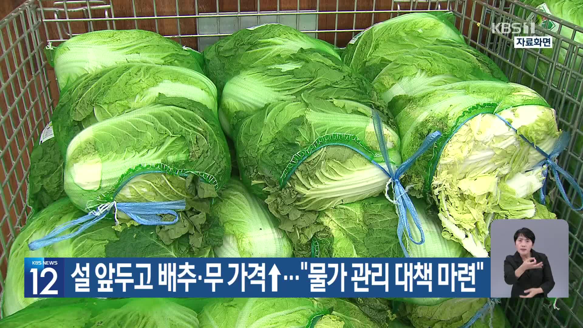 [기후는 말한다] 설 앞두고 배추·무 가격↑…“물가 관리 대책 마련”