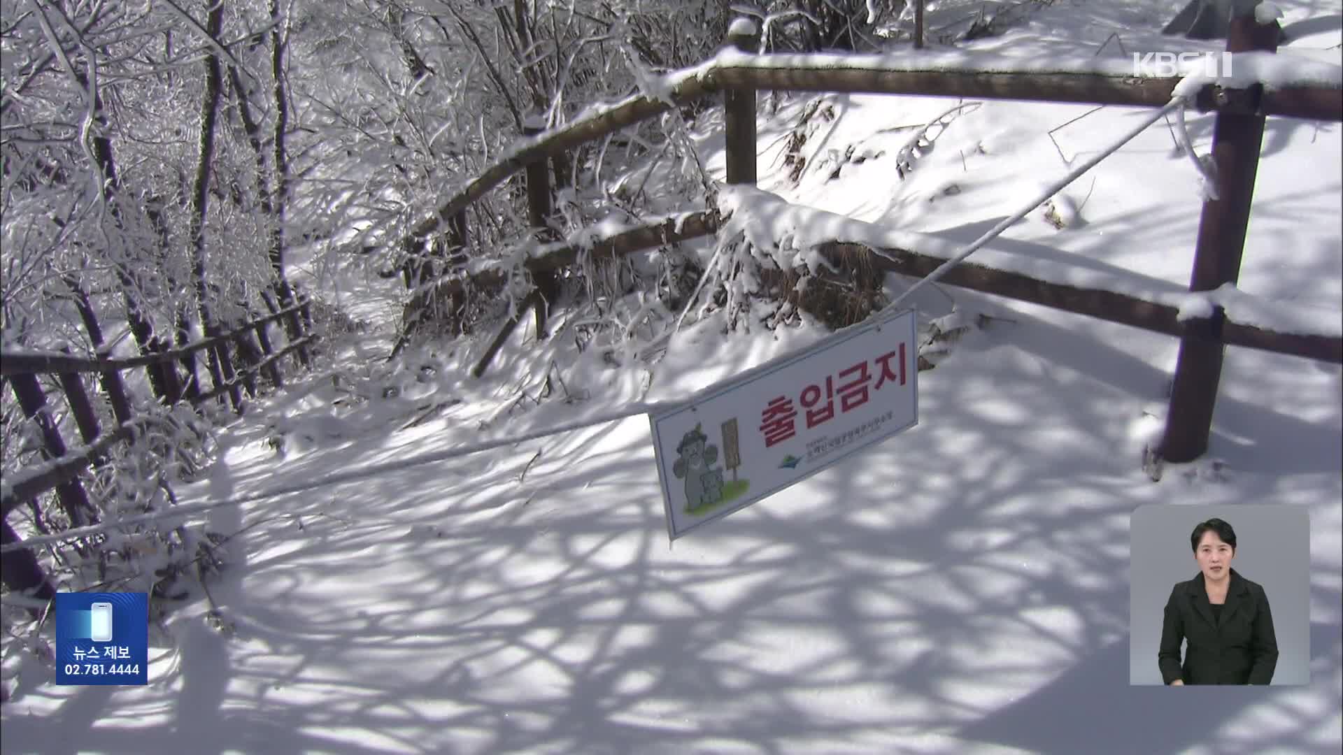 충북 전역 대설주의보…5~20cm 더 내려