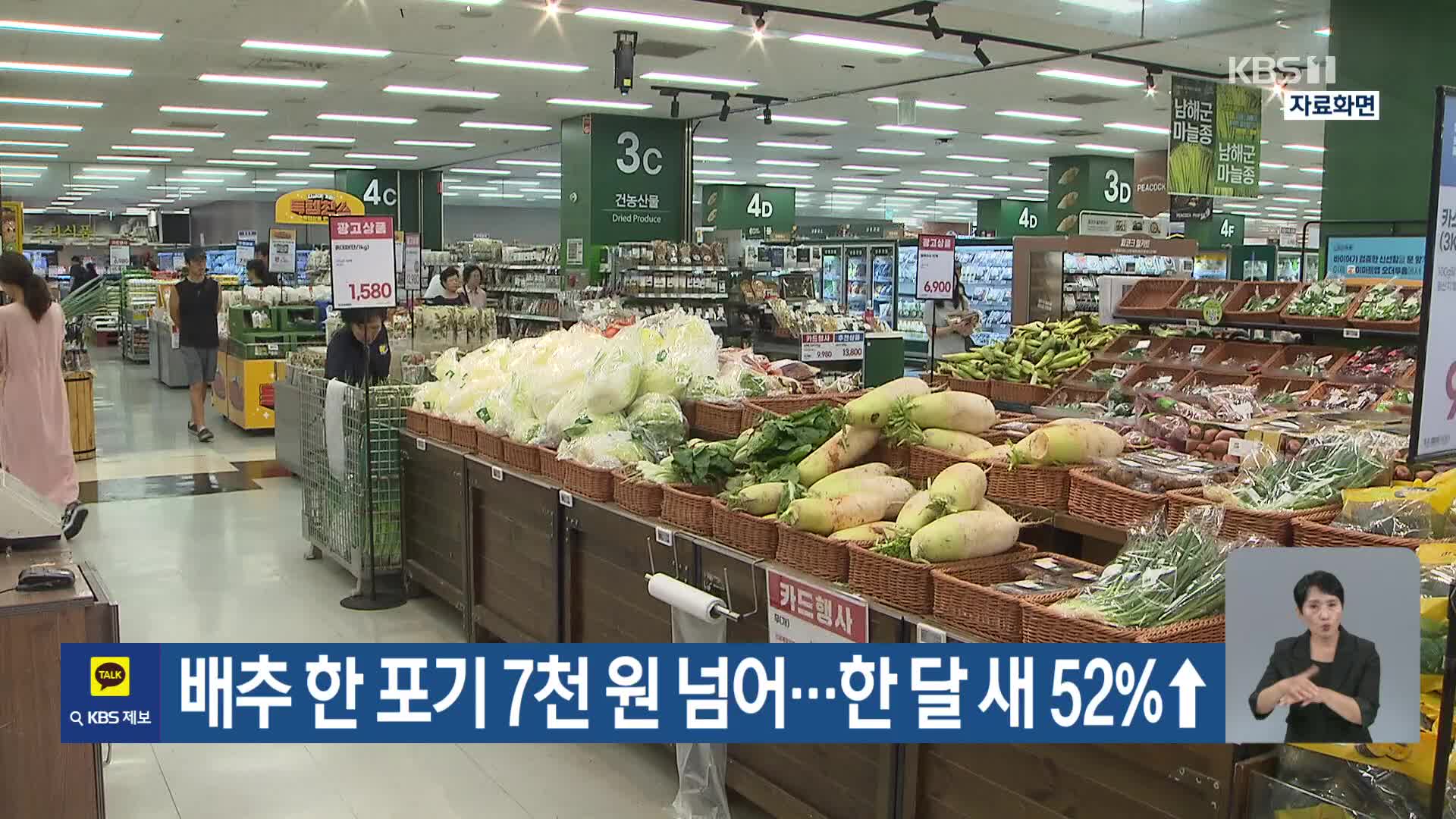 [기후는 말한다] 배추 한 포기 7천 원 넘어…한 달 새 52%↑