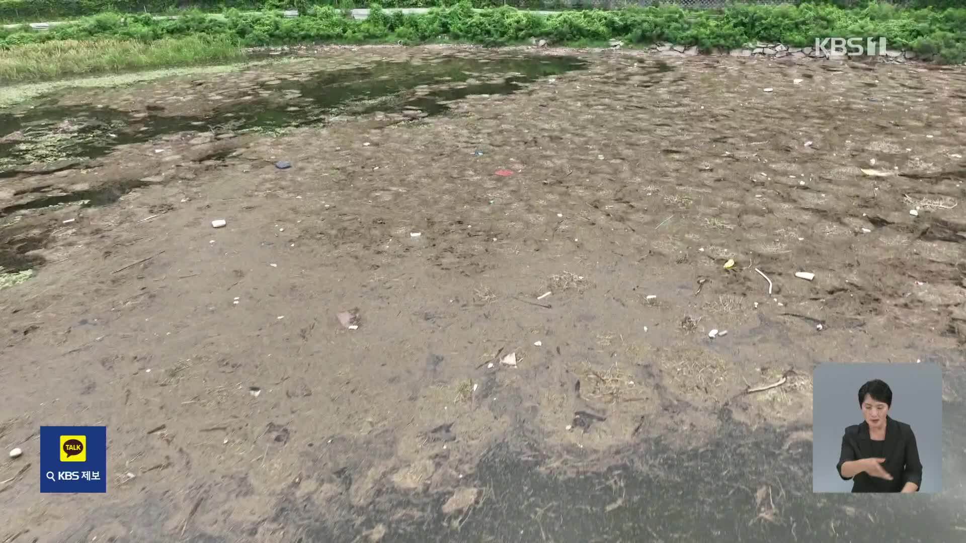 [기후는 말한다] 북한강 곳곳 부유물과 쓰레기 ‘둥둥’…제거 골치