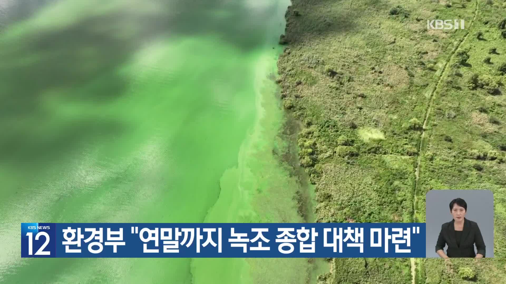 환경부 “연말까지 녹조 종합 대책 마련”