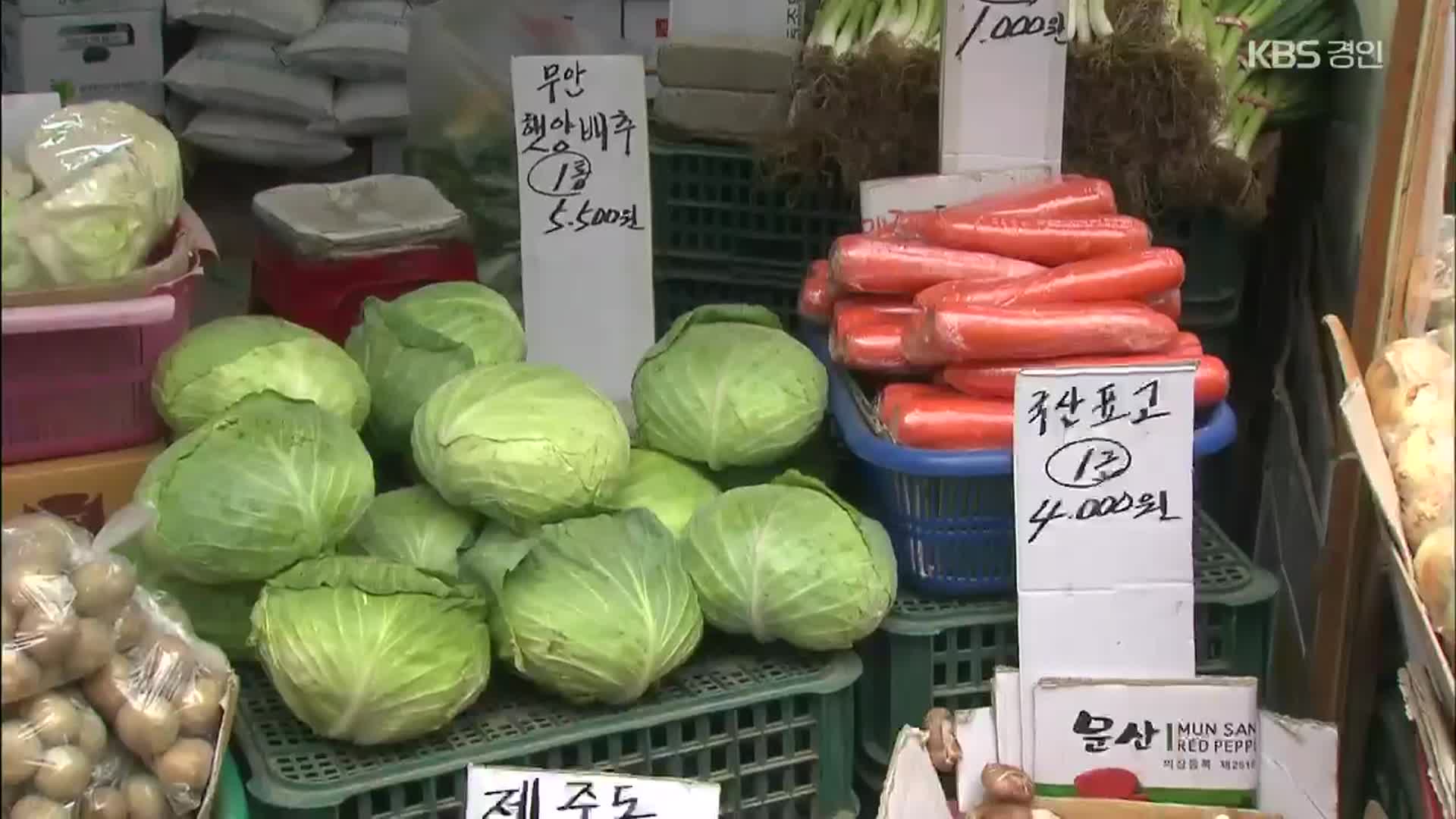 “강수량 100mm 변하면 신선식품 물가상승률 1%p↑​”