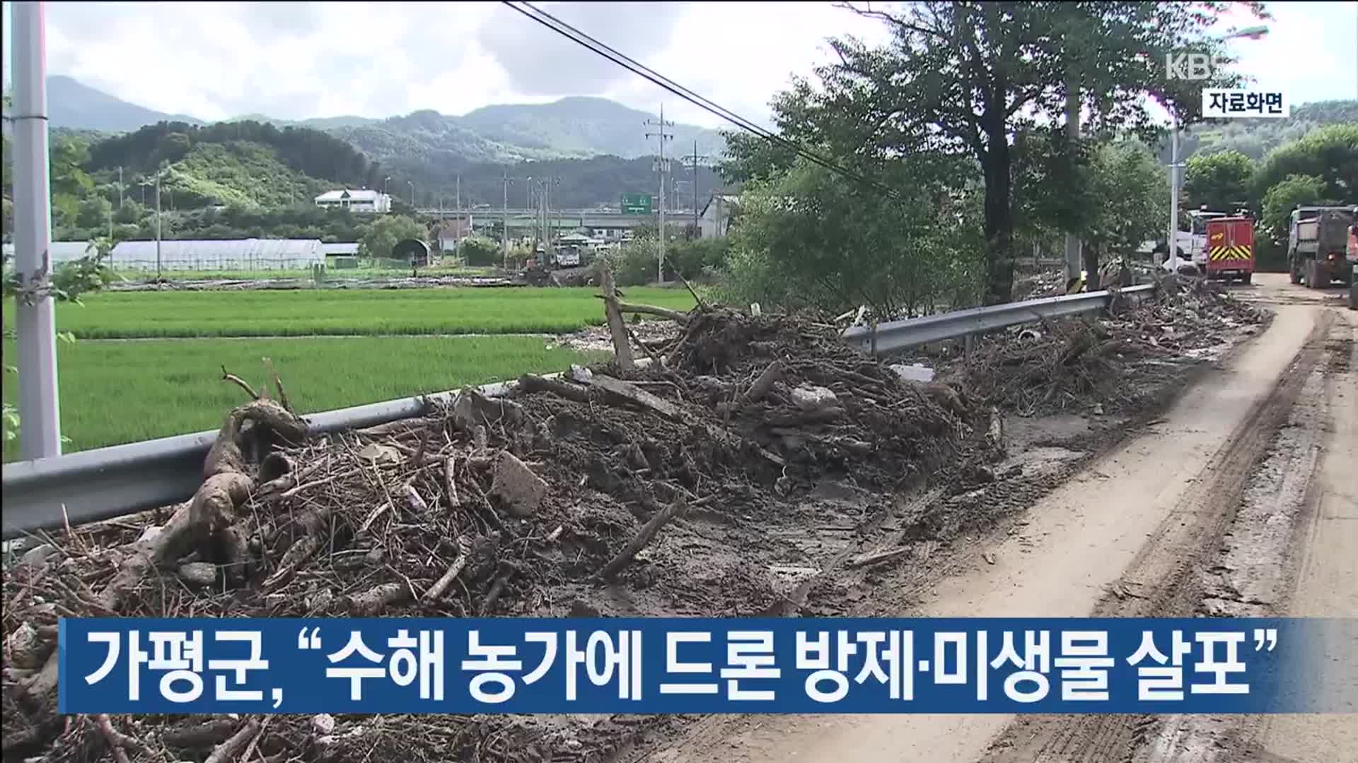 가평군, “수해 농가에 드론 방제·미생물 살포”