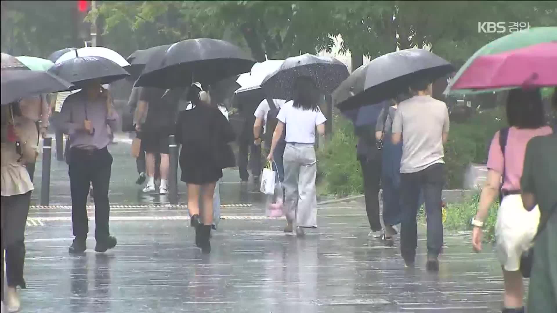 내일 중부도 비…수도권 시간당 50mm 예보