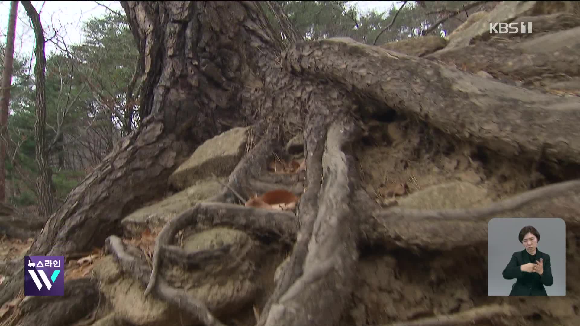 탐방로에 몰리며 ‘바위산’된 설악산…탐방객 분산 시급