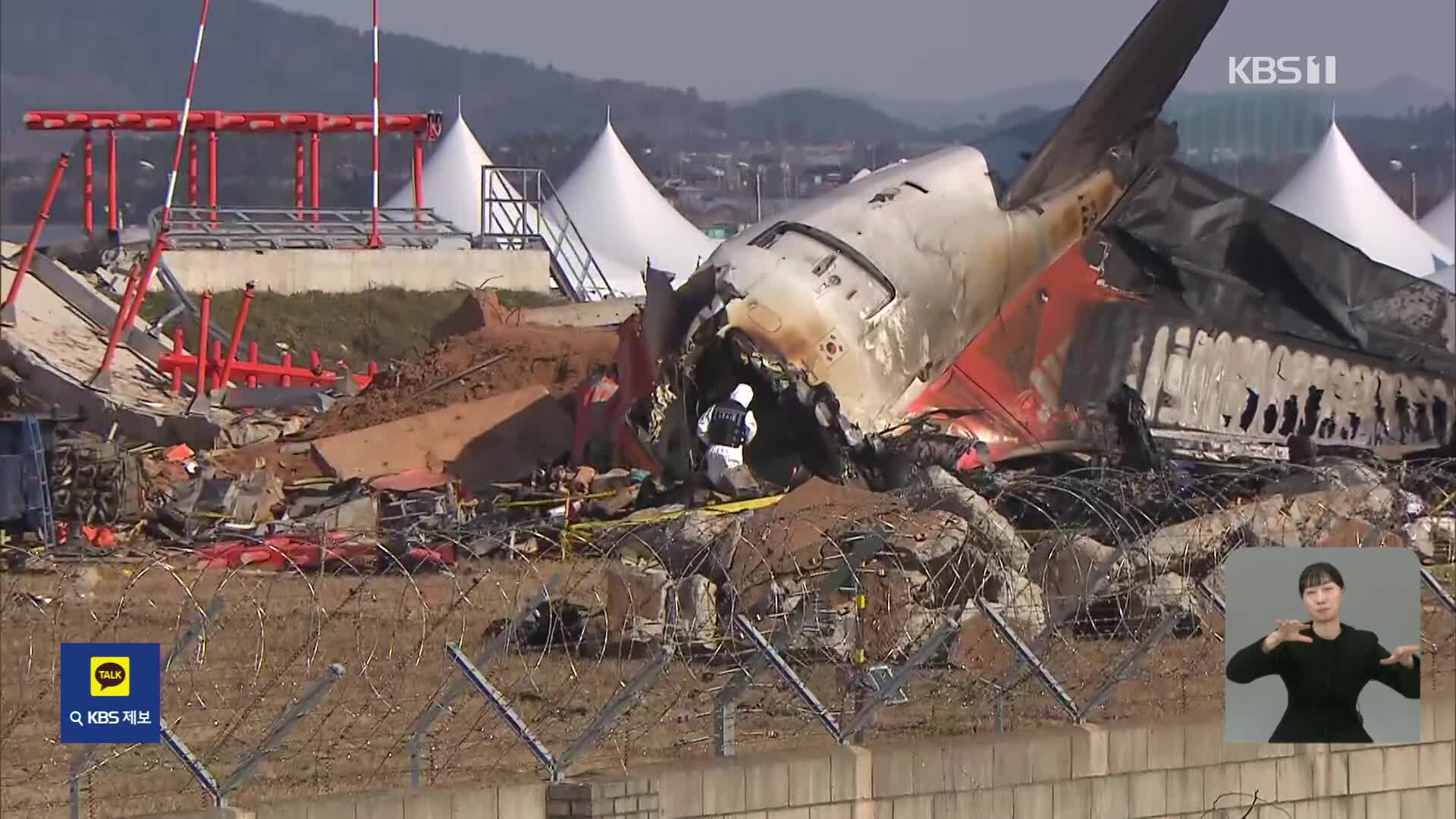 제주항공 사고기와 충돌한 조류는 ‘가창오리’