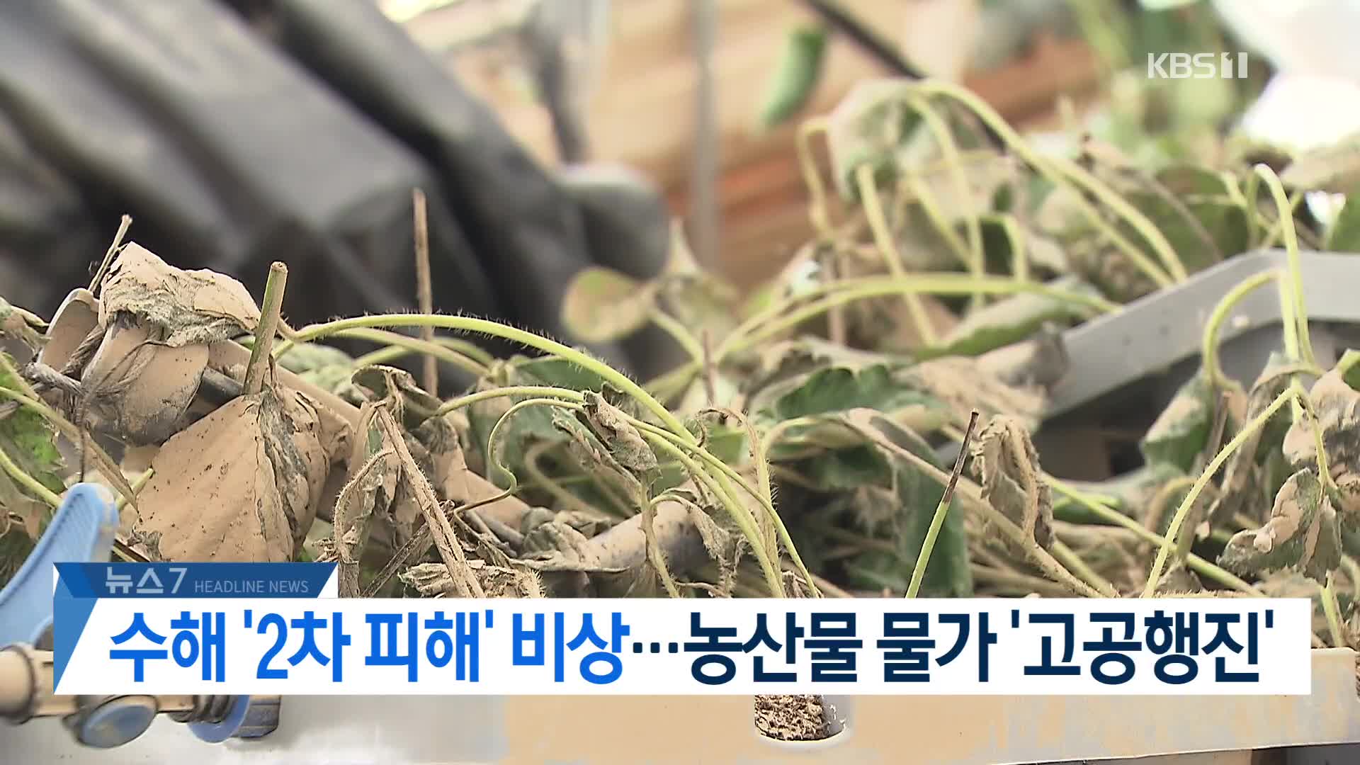 [뉴스7 헤드라인]