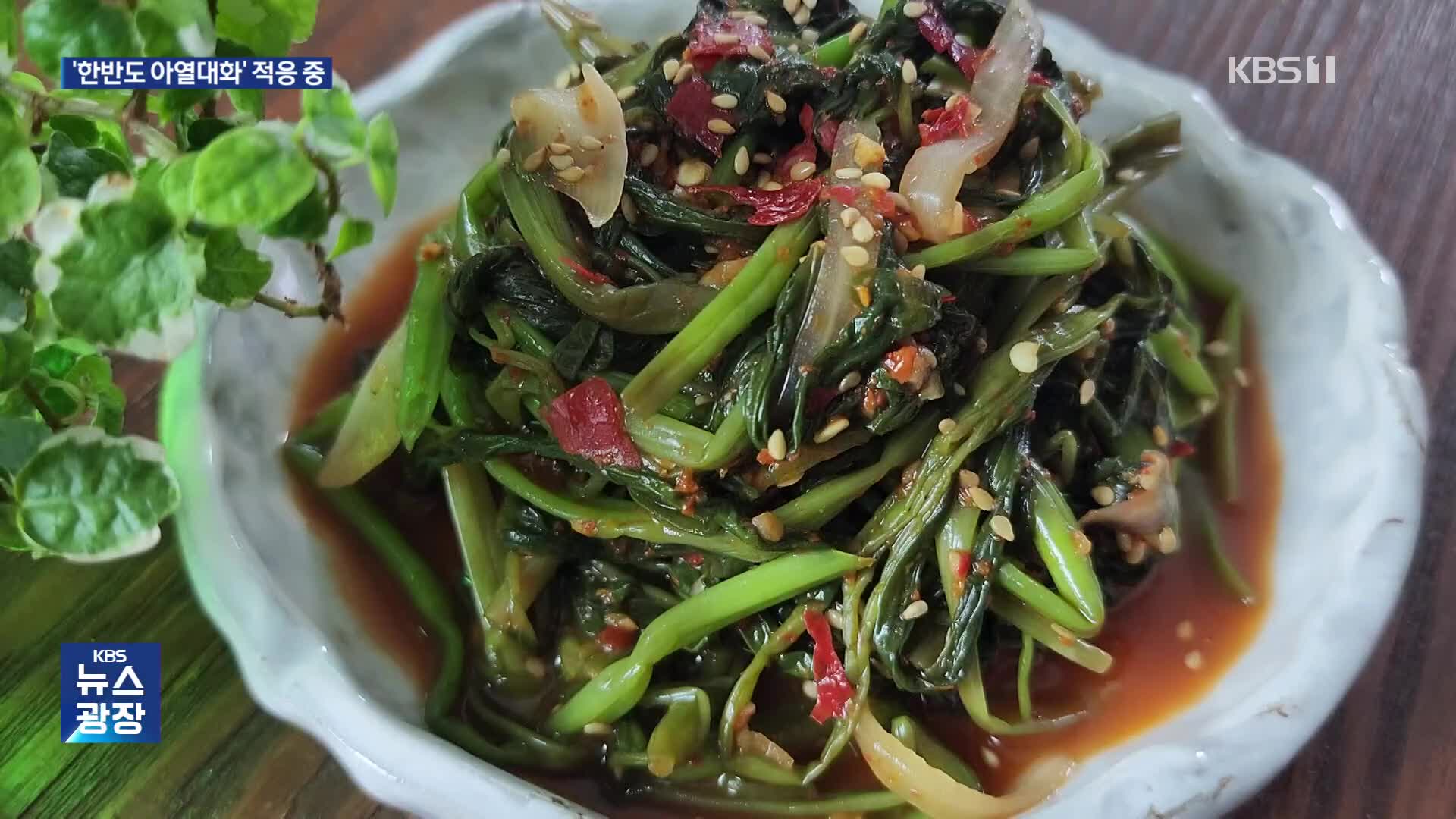 소나무 대신 ‘꾸이화’…공심채 김치 밥상에