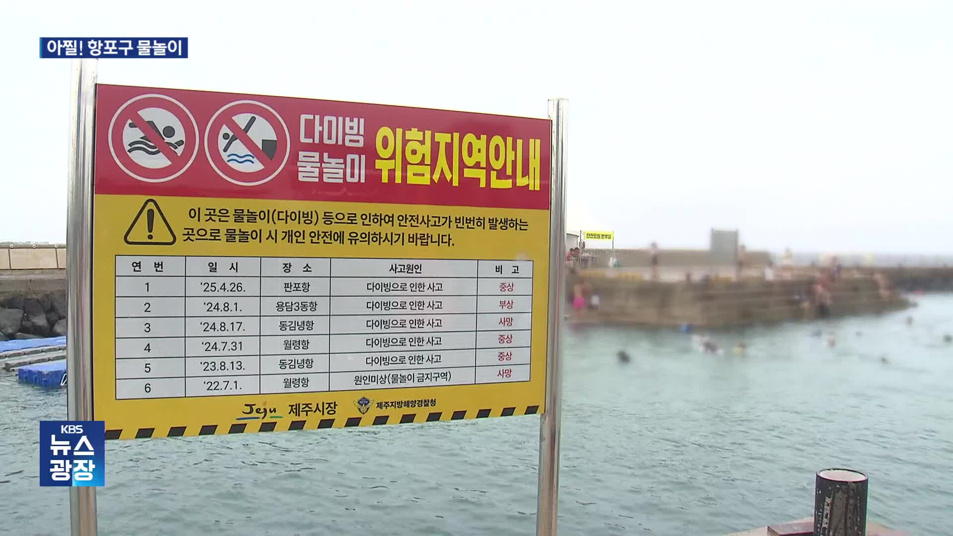 죽고 다쳐도 ‘바글바글’…야간 다이빙 속수무책