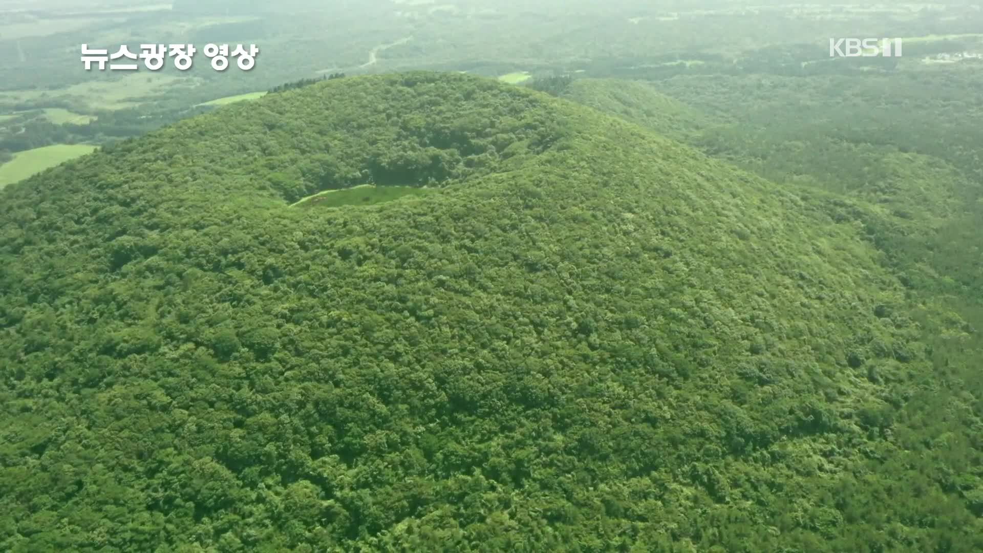 [뉴스광장 영상] 제주 물영아리오름