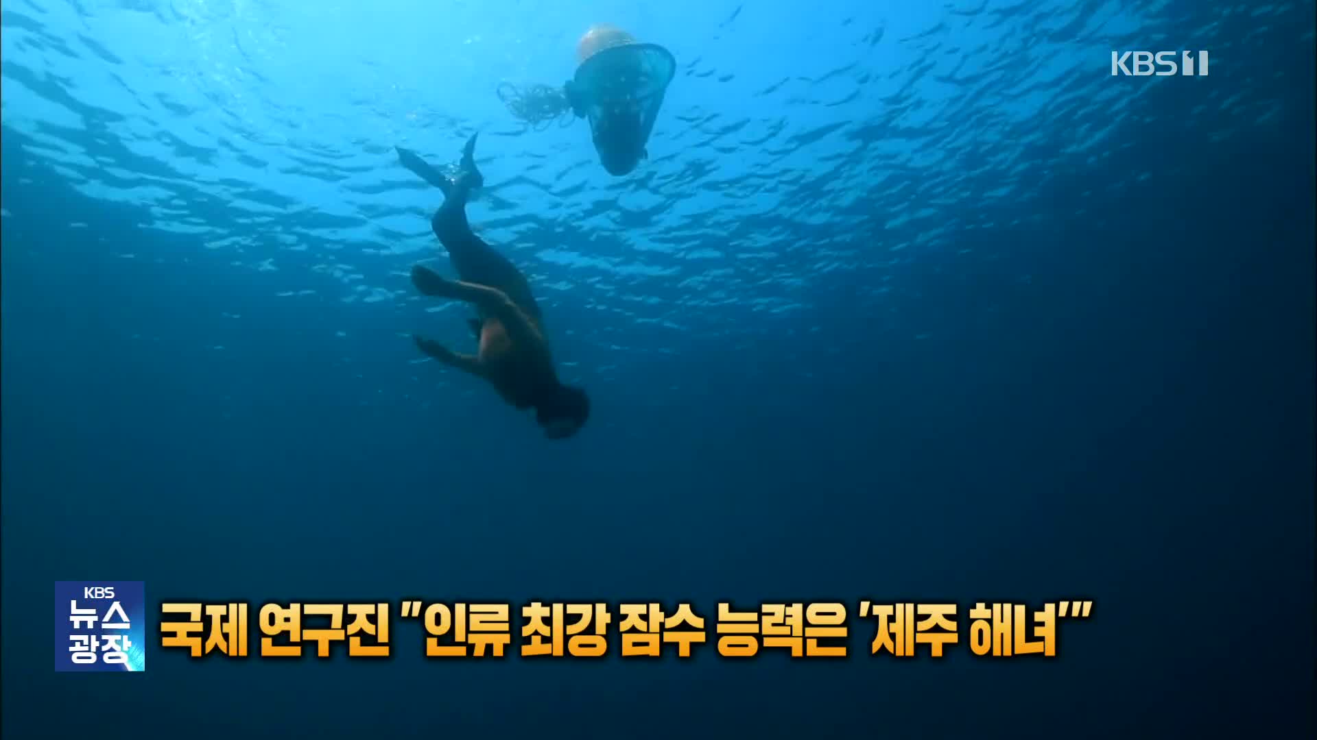 국제 연구진 “인류 최강 잠수 능력은 ‘제주 해녀’” 