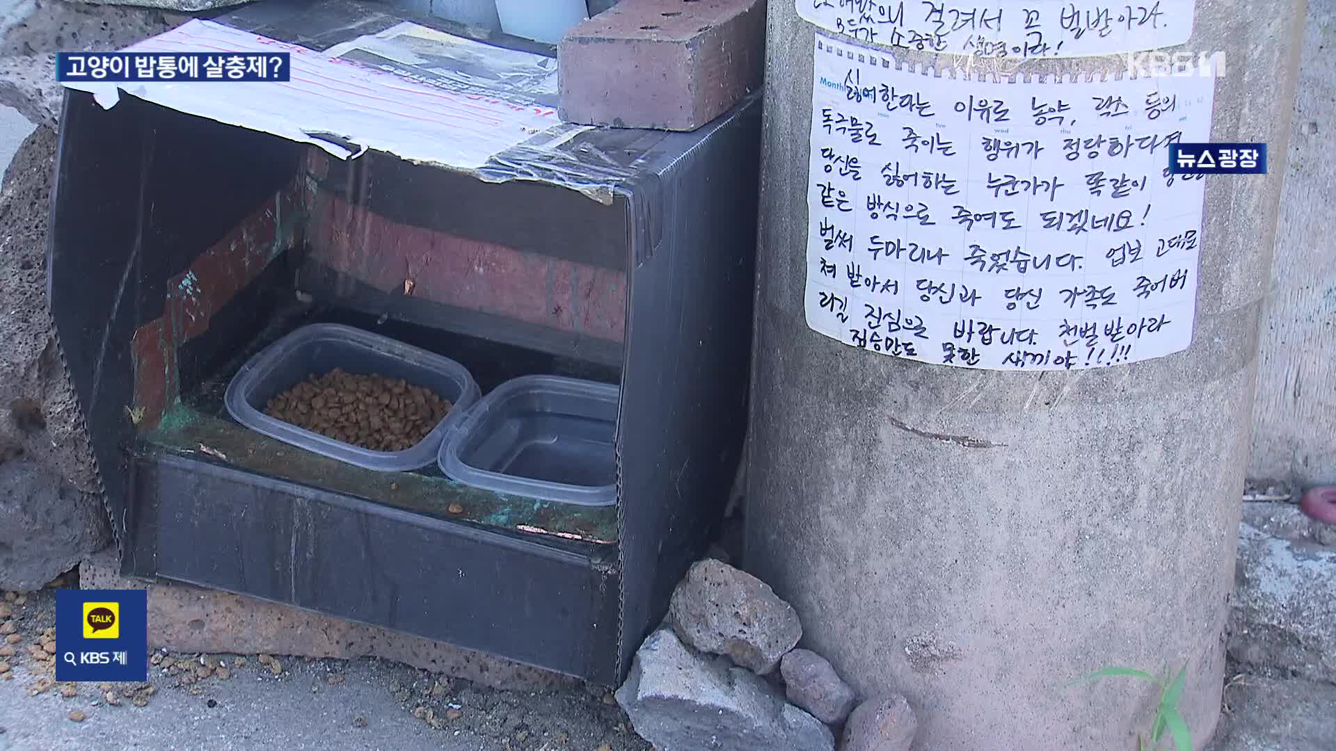 길고양이 급식통에 살충제 추정 물질…동물학대 혐의 수사