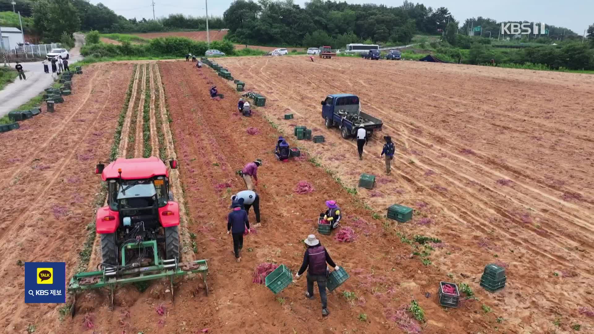 맛도, 지역도 살린다…‘로코노미’ 가치 따져보니