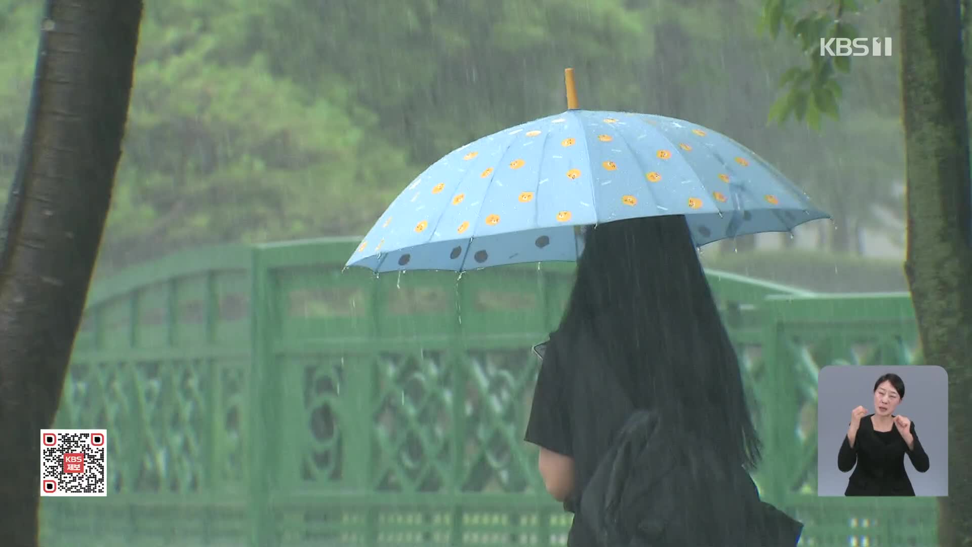 [특보] 밤새 수도권·남해안·지리산 폭우, 내일까지 최대 250mm 더 온다