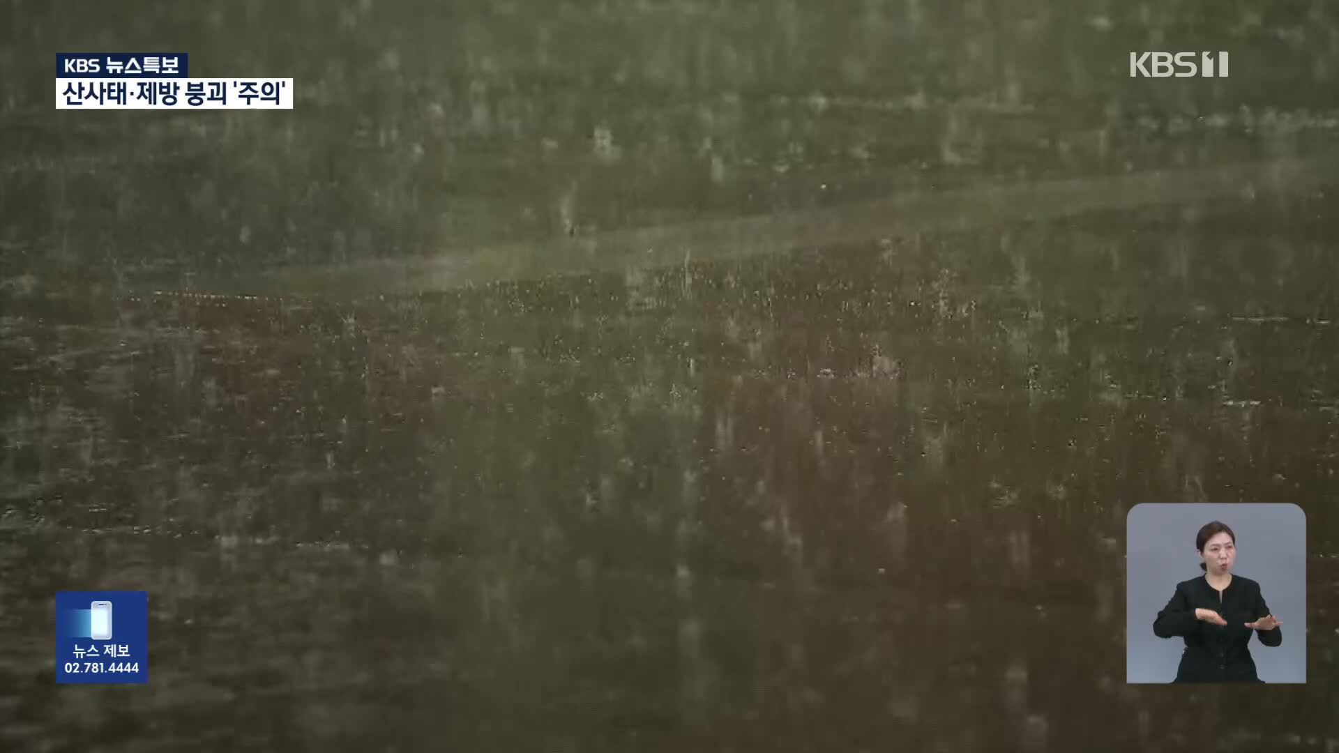 [특보] 오늘 오후까지 최대 40mm 비…이 시각 대전