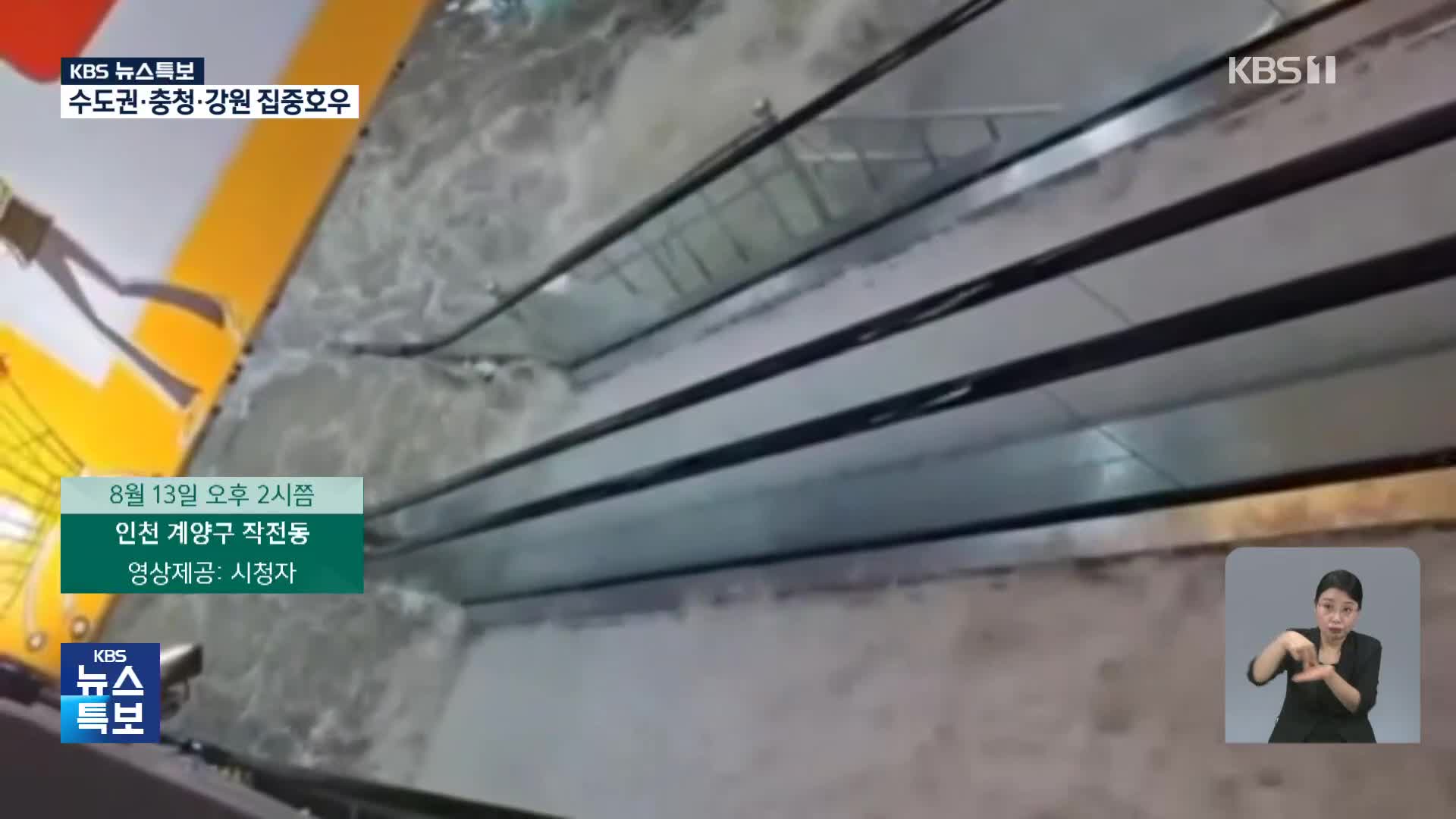 [특보] 제보로 본 집중호우 상황