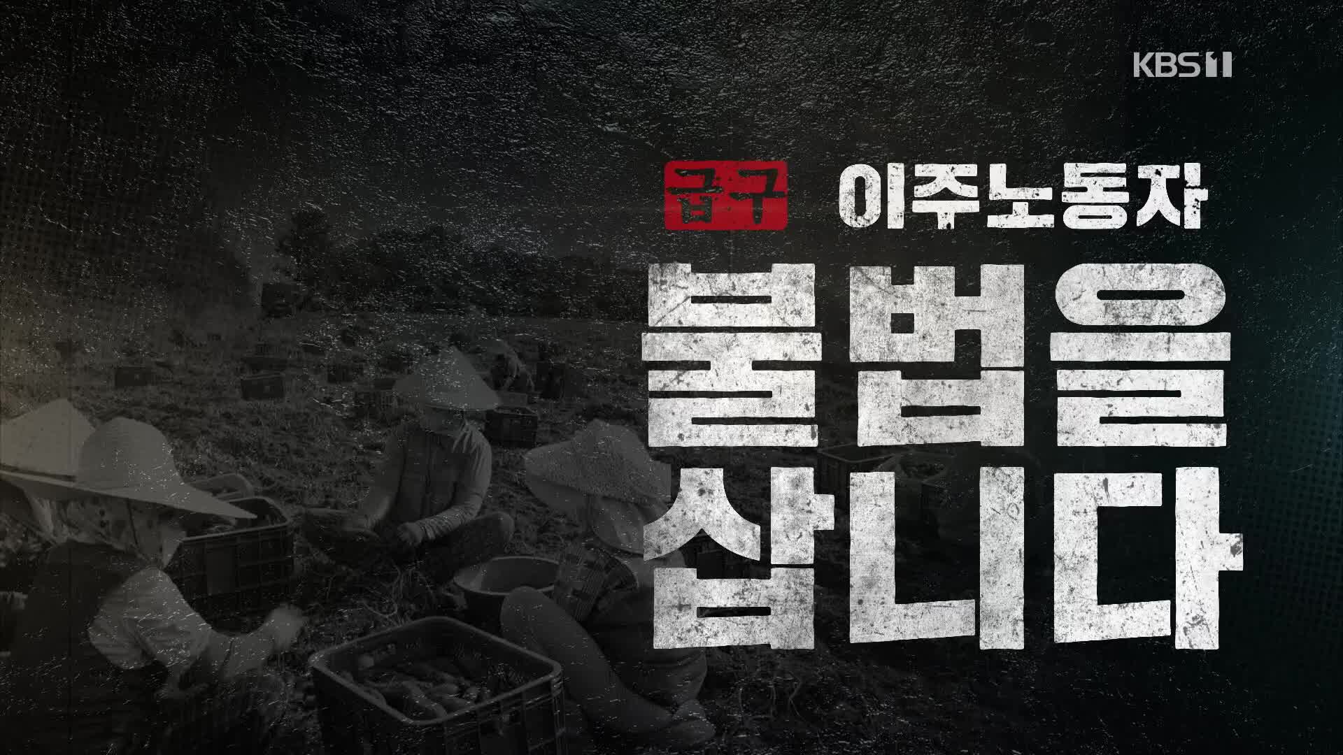 [시사기획 창] [급구] 이주노동자 ‘불법을 삽니다’