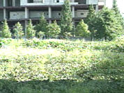 서울 2배 땅 방치 