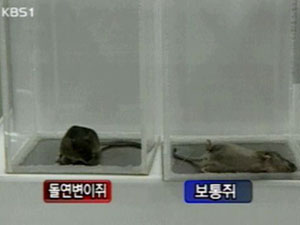 세계 최고 뇌연구 