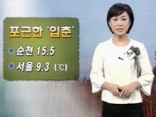 포근한 입춘…이번주 내내 포근 