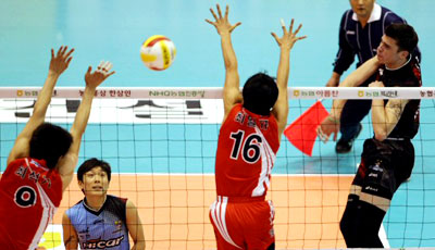 21일 서울 올림픽 제2체육관에서 열린 2008-2009 프로배구 V리그 현대캐피탈과 KEPCO 45와의 경기에서 현대의 앤더슨이 강한 스파이크를 성공하고 있다. 