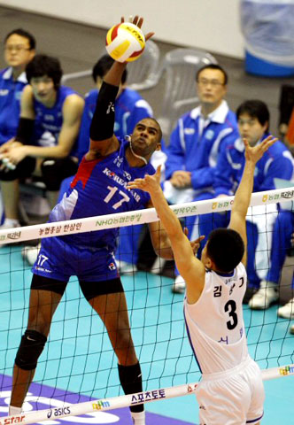 21일 서울 올림픽 제2체육관에서 열린 2008-2009 프로배구 V리그 대한항공과 신협상무의 경기에서 대한항공의 칼라가 타점 높은 스파이크를 때리고 있다. 