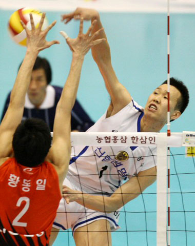 30일 서울 올림픽공원 제2체육관에서 열린 NH 농협 2008-2009 프로배구 V 리그 남자부 경기에서 신협상무의 임동규가 LIG손해보험을 상대로 강스파이크를 날리고 있다. 