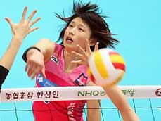 KBS 뉴스 이미지